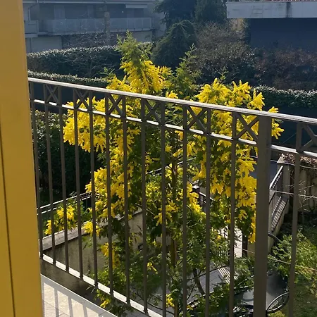 Luca's Villongo SantʼAlessandro